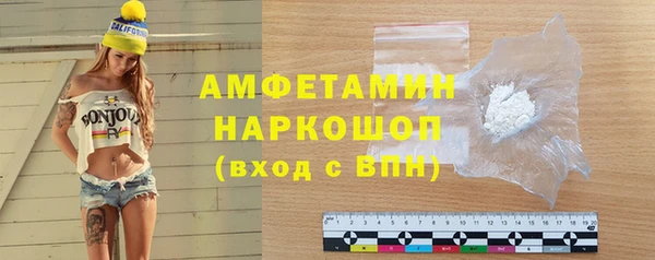 шишки Фёдоровский