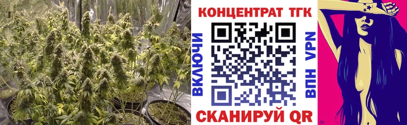 Купить  Сясьстрой  Дистиллят ТГК концентрат 
