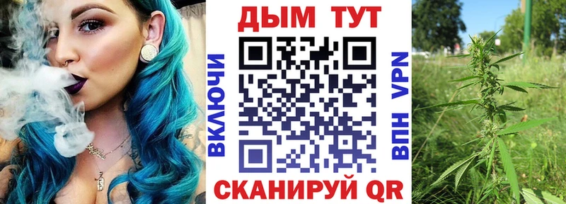 Конопля семена Сясьстрой